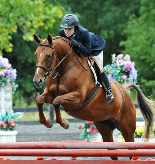 Horse and rider jumping