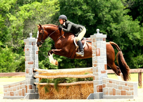 Horse and rider jumping